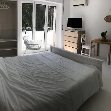 Magenta Apartment *